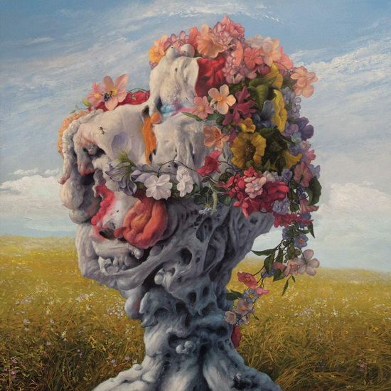 Veil Of Imagination (2Vinyl) - import - WILDERUN