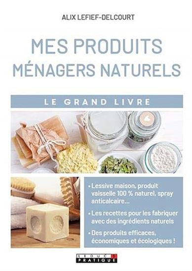 Mes produits ménagers naturels - ALIX LEFIEF-DELCOURT
