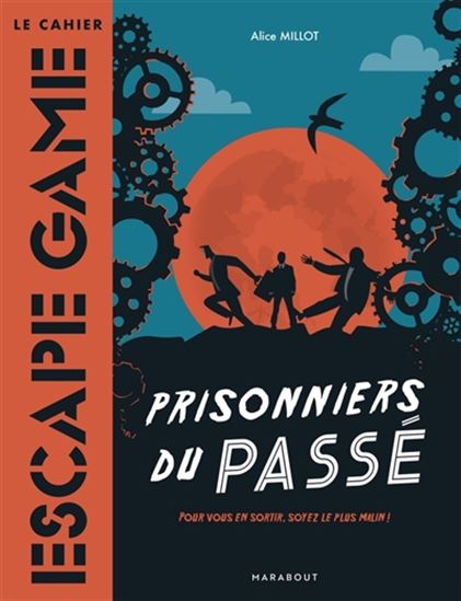 Prisonniers du passé - ALICE MILLOT