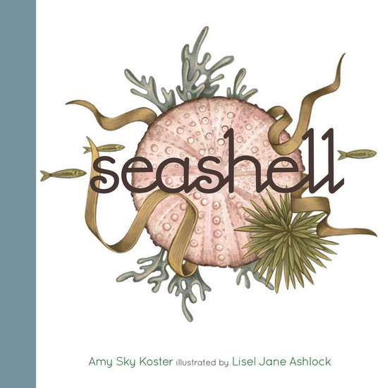 Seashell - AMY SKY KOSTER - LISEL JANE ASHLOCK