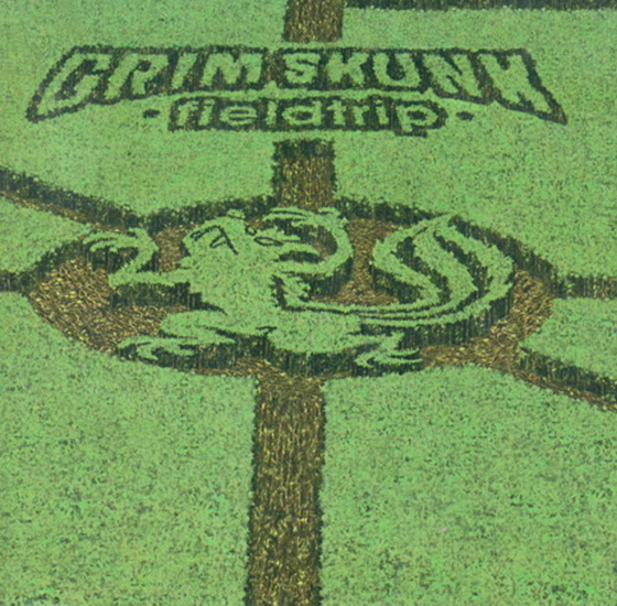 Fieldtrip (Vinyl clear + Turntable Mat) - GRIMSKUNK