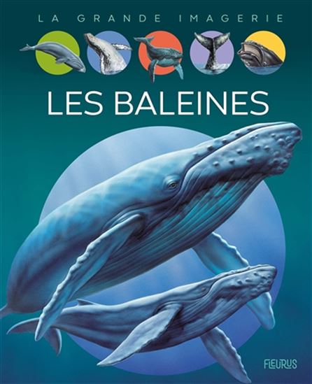 Les Baleines N. éd. - AGNÈS VANDEWIELE & AL