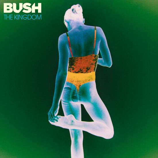 The Kingdom - BUSH