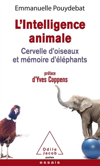 L&#39;Intelligence animale : cervelle d&#39;oiseaux et mémoire d&#39;éléphants - EMMANUELLE POUYDEBAT