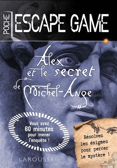 Alex et le secret de Michel-Ange - VINCENT RAFFAITIN