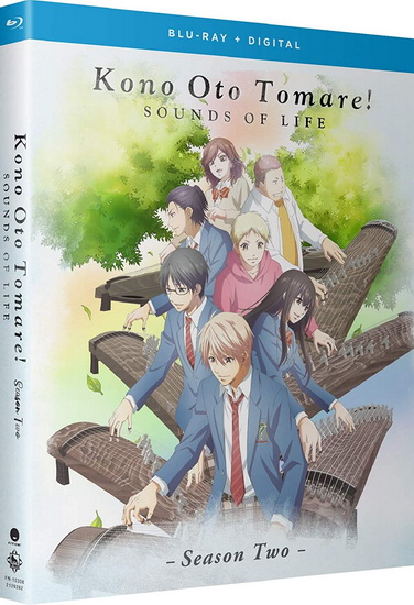 Kono Oto Tomare!: Sounds of Life: Season 2 (Blu-Ray) - 