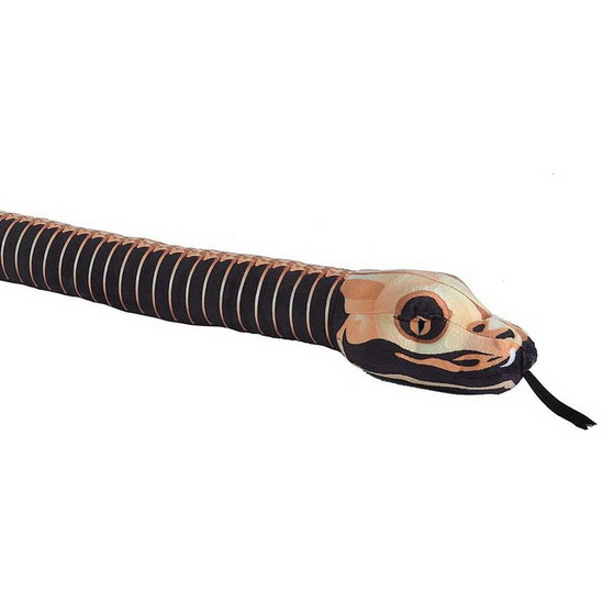 Serpent 137 cm Squelette