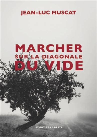 Marcher sur la diagonale du vide - JEAN-LUC MUSCAT