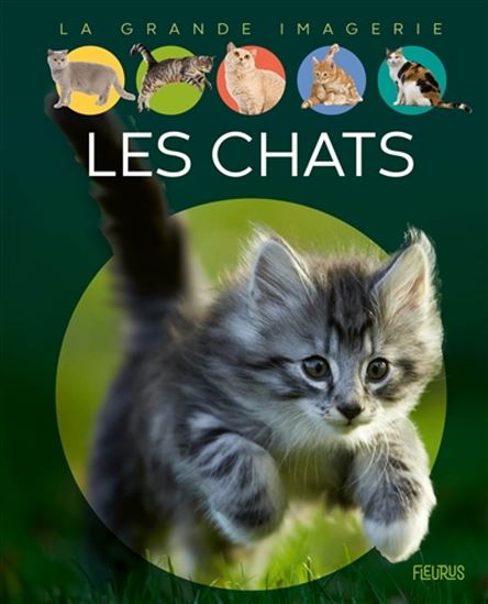 Les Chats N. éd. - AGNÈS VANDEWIELE