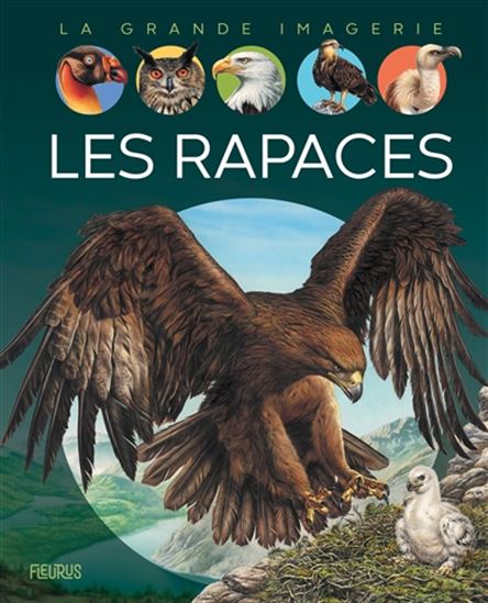 Les Rapaces N. éd. - SABINE BOCCADOR