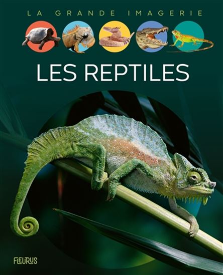 Les Reptiles N. éd. - CATHY FRANCO