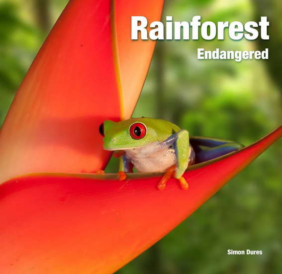 Rainforest : Endangered - SIMON DURES