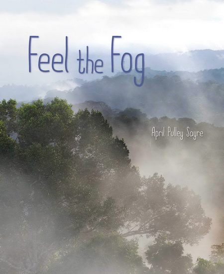 Feel the Fog - APRIL PULLEY SAYRE