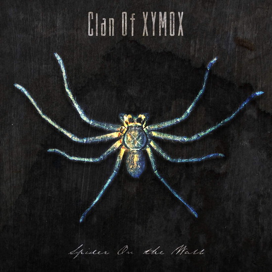 Spider On The Wall - CLAN OF XYMOX