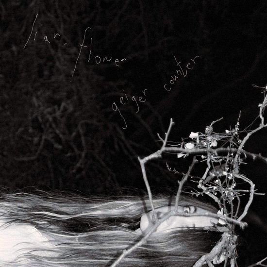 Geiger Counter - Import - FLOWER LIAR