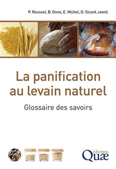 La Panification au levain naturel : glossaire des savoirs - COLLECTIF