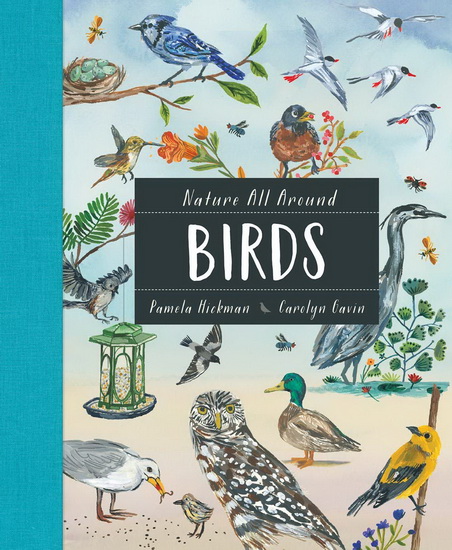 Nature All Around : Birds - PAMELA HICKMAN - CAROLYN GAVIN