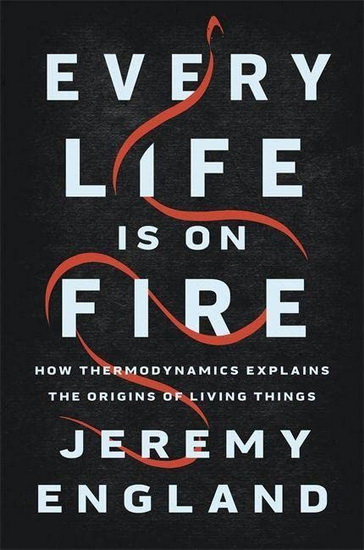 Every Life Is on Fire : How Thermodynamics Explains the Origins of Living Things - JEREMY ENGLAND