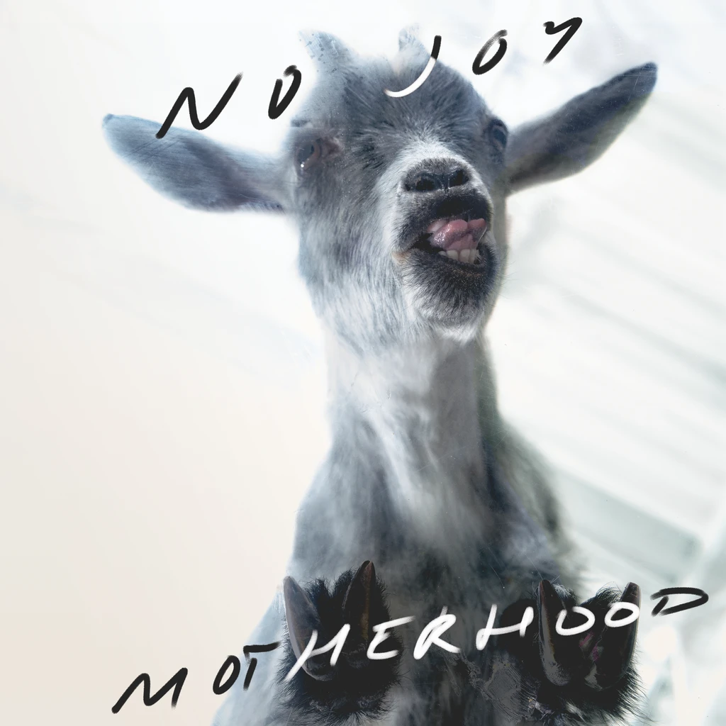 Motherhood (Vinyl) - NO JOY