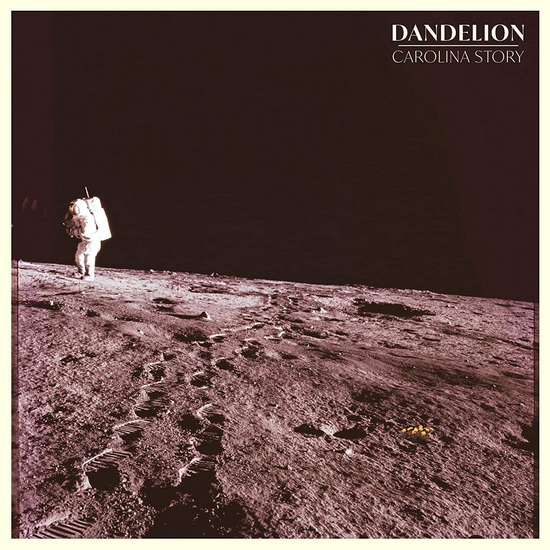 Dandelion - CAROLINA STORY