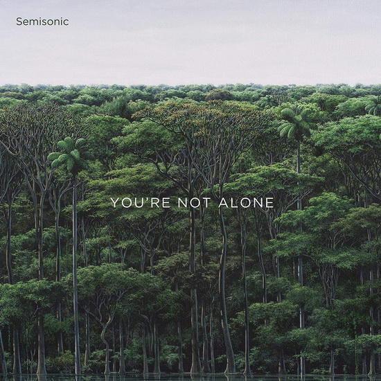 You'Re Not Alone - SEMISONIC