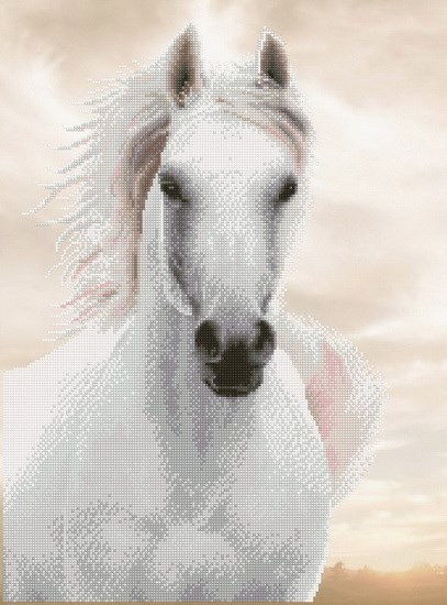 Imperial Stallion VF