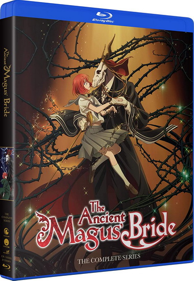 The Ancient Magus Bride : Complete Series (Blu-Ray) - 