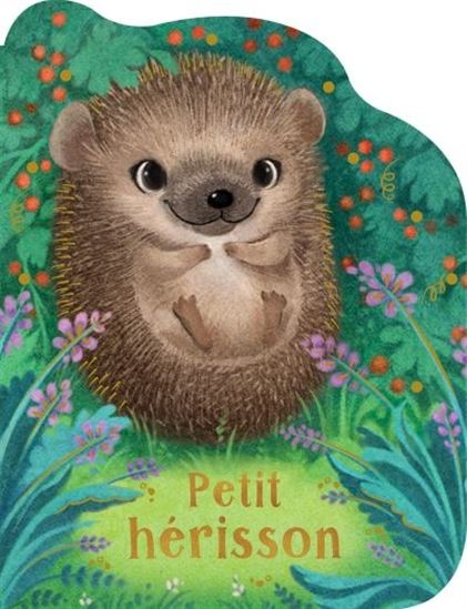 Petit hérisson - ROSALEE WREN - SYDNEY HANSON