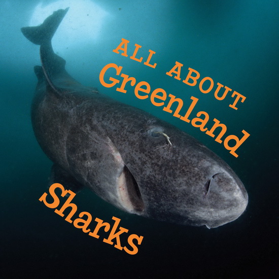 All About Greenland Sharks - JORDAN HOFFMAN