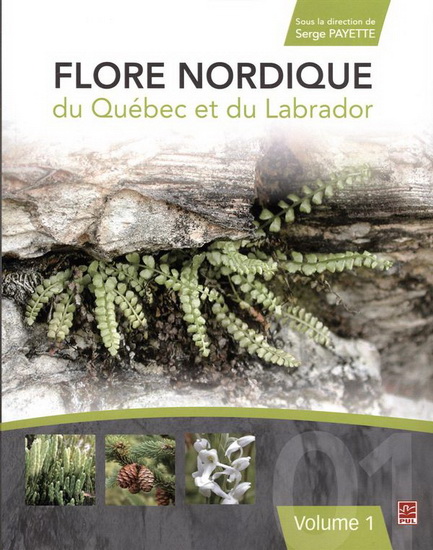 Flore nordique du Québec et du Labrador T.01 - SERGE PAYETTE & AL