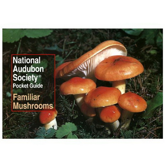 Familiar Mushrooms - COLLECTIF