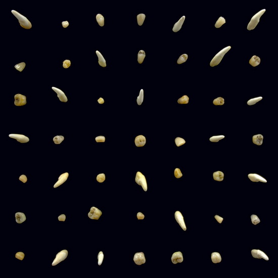 Visions Of Bodies Being Burned - CLIPPING