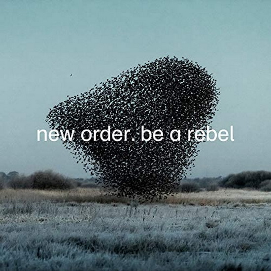 Be A Rebel (Vinyl Couleur "Colombe Grise") - NEW ORDER