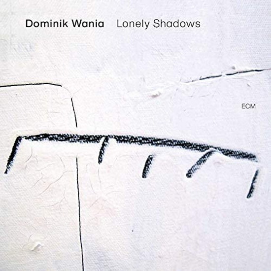 Lonely Shadows(Vinyl) - DOMINIK WANIA