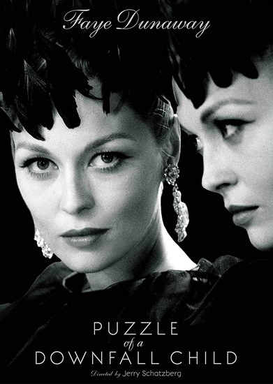 Puzzle of a Downfall Child - JERRY SCHATZBERG