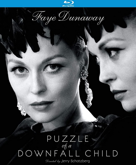Puzzle of a Downfall Child (Blu-Ray) - JERRY SCHATZBERG
