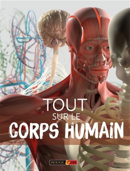 Tout sur le corps humain N. éd. - PATRICIA MACNAIR