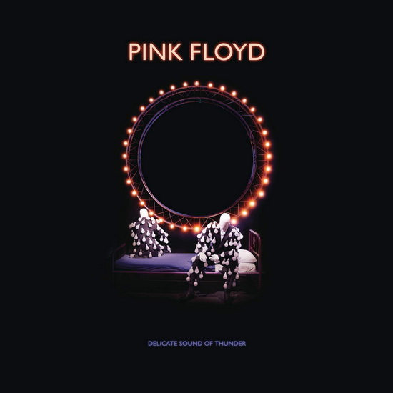 Delicate Sound Of Thunder - Restored, Re-Edited, Remixed/Deluxe Set (2-CD, Bluray, and DVD) - PINK FLOYD