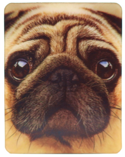 Aimant 3D Visage de chien