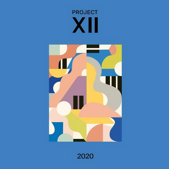 XII 2020 (Vinyl) - VARIOUS ARTISTS