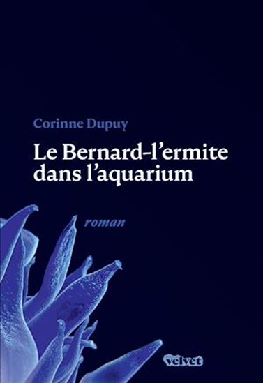 Le Bernard-l&#39;ermite dans l&#39;aquarium - CORINNE DUPUY