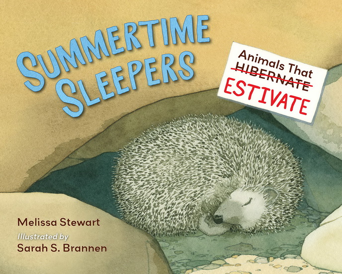 Summertime Sleepers - MELISSA STEWART - SARAH BRANNEN