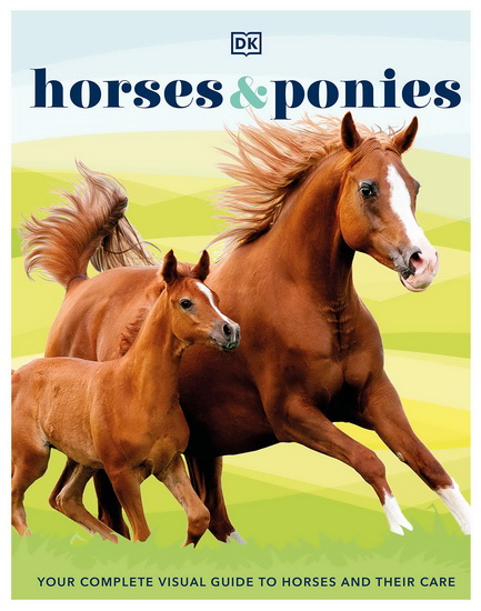 Horses &amp: Ponies - COLLECTIF
