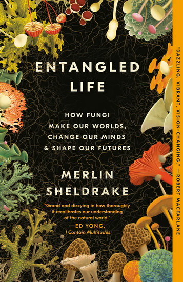 Entangled Life : How Fungi Make Our Worlds, Change Our Minds & Shape Our Futures - MERLIN SHELDRAKE