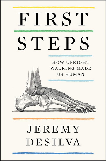 First Steps - JEREMY DESILVA