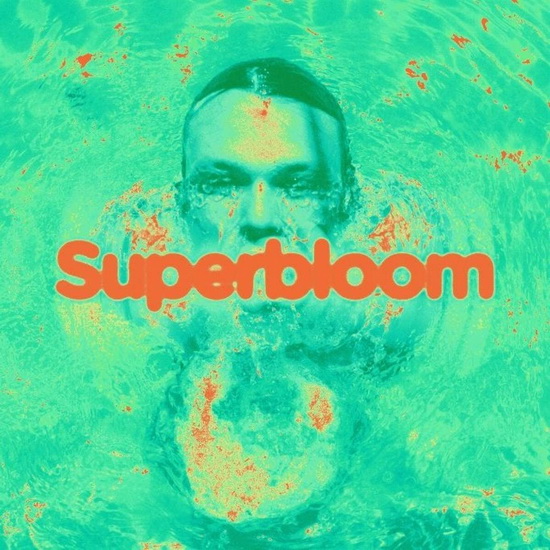 Superbloom (Vinyl) - ASHTON IRWIN