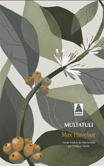 Max Havelaar ou Les ventes de café de la compagnie commerciale des Pays-Bas N. éd. - MULTATULI
