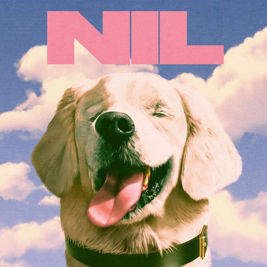 Fuck Art - DIRTY NIL (THE )