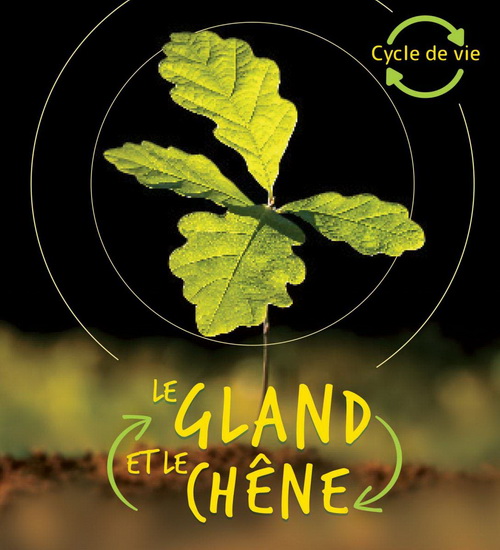 Le Gland et le chêne N. éd. - CAMILLA DE LA BÉDOYÈRE