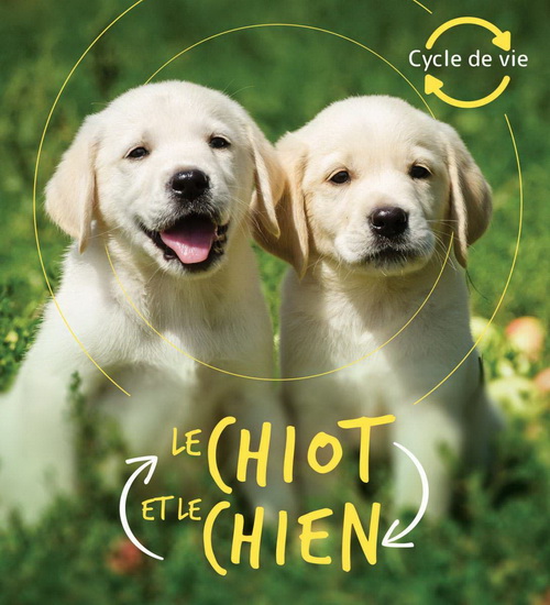 Le Chiot et le chien N. éd. - CAMILLA DE LA BÉDOYÈRE
